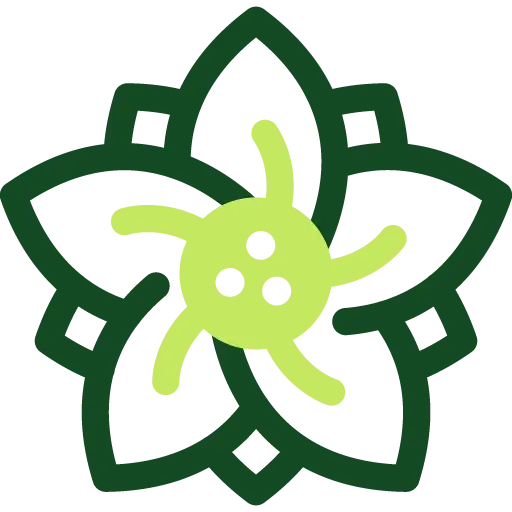 Project Icon