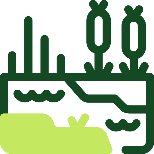 Service Icon